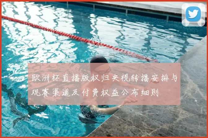 欧洲杯直播版权归央视转播安排与观赛渠道及付费权益公布细则