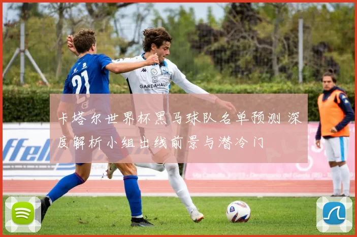 卡塔尔世界杯黑马球队名单预测 深度解析小组出线前景与潜冷门