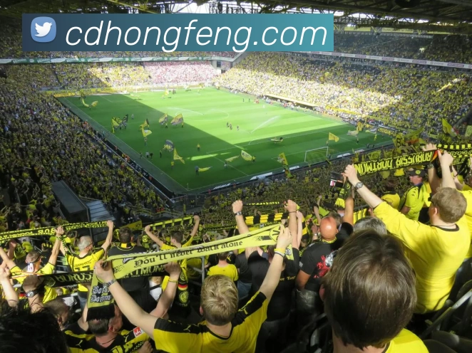 Emc(易倍中国)官方网站 - 创新引领体育科技脚步平台生态图